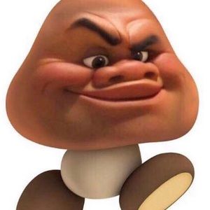 Meet your Posher, Lawrence